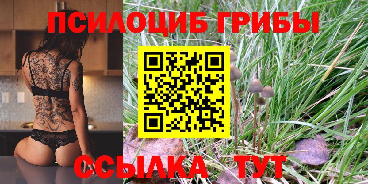 Губкинский  Галлюциногенные грибы Cubensis  где найти наркотики  Вход с VPN 
