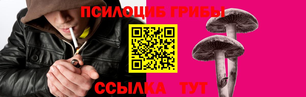 Галлюциногенные грибы GOLDEN TEACHER Губкинский